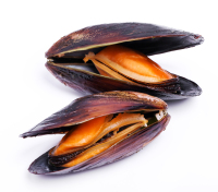 Image du slider - delicious-mussels-on-white.jpg